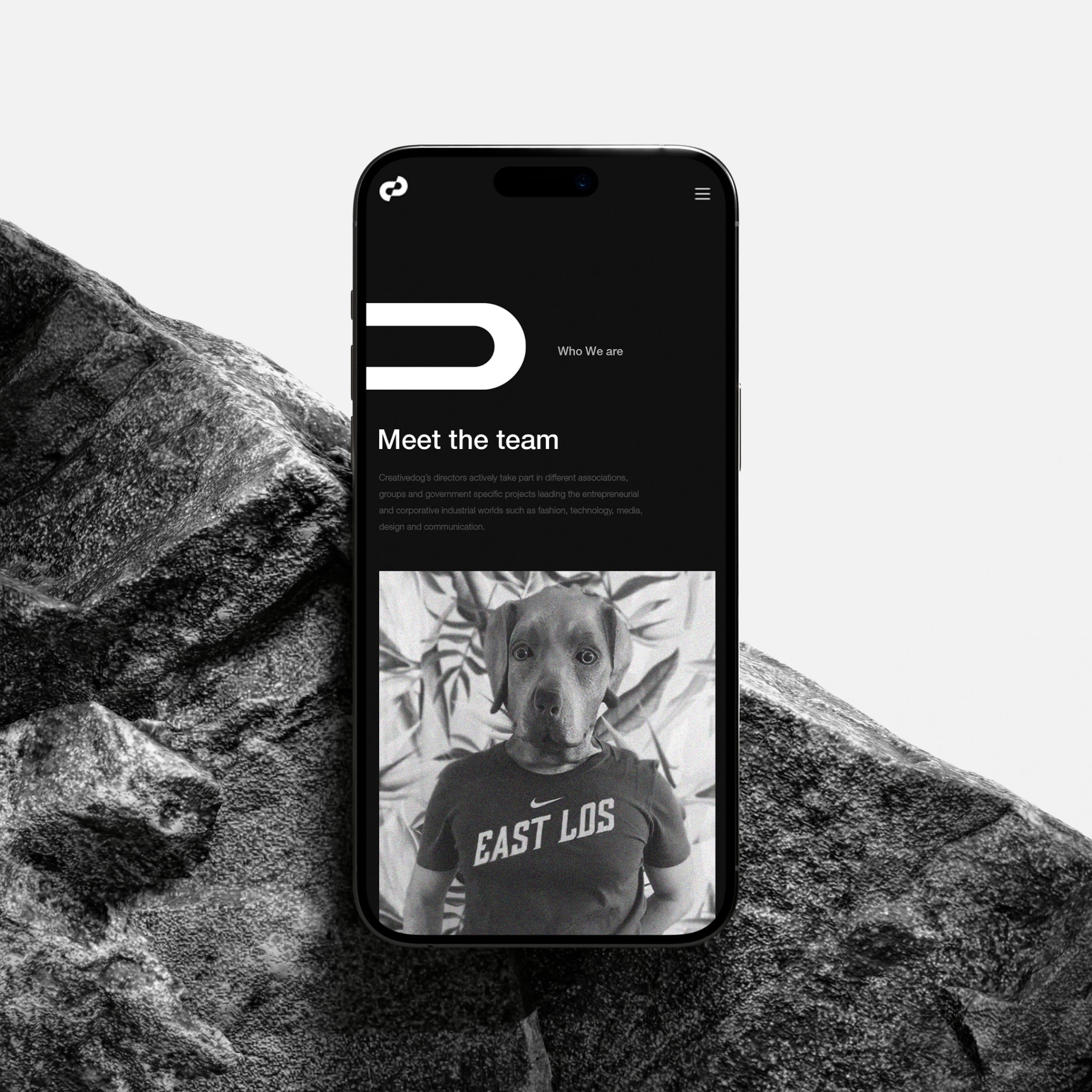 The app on a phone