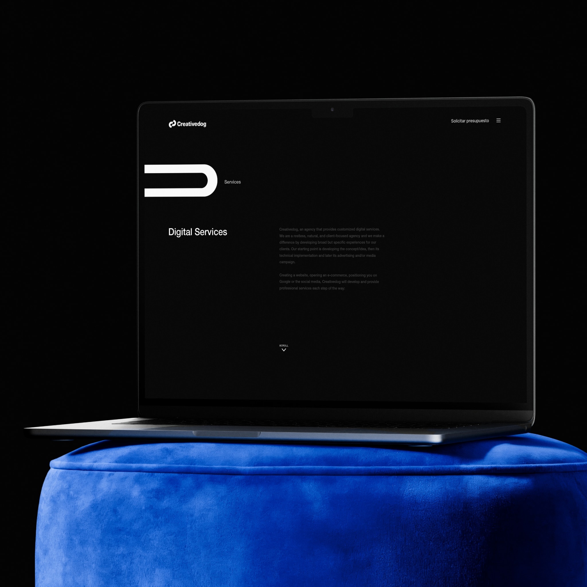 The website on a MacBook
