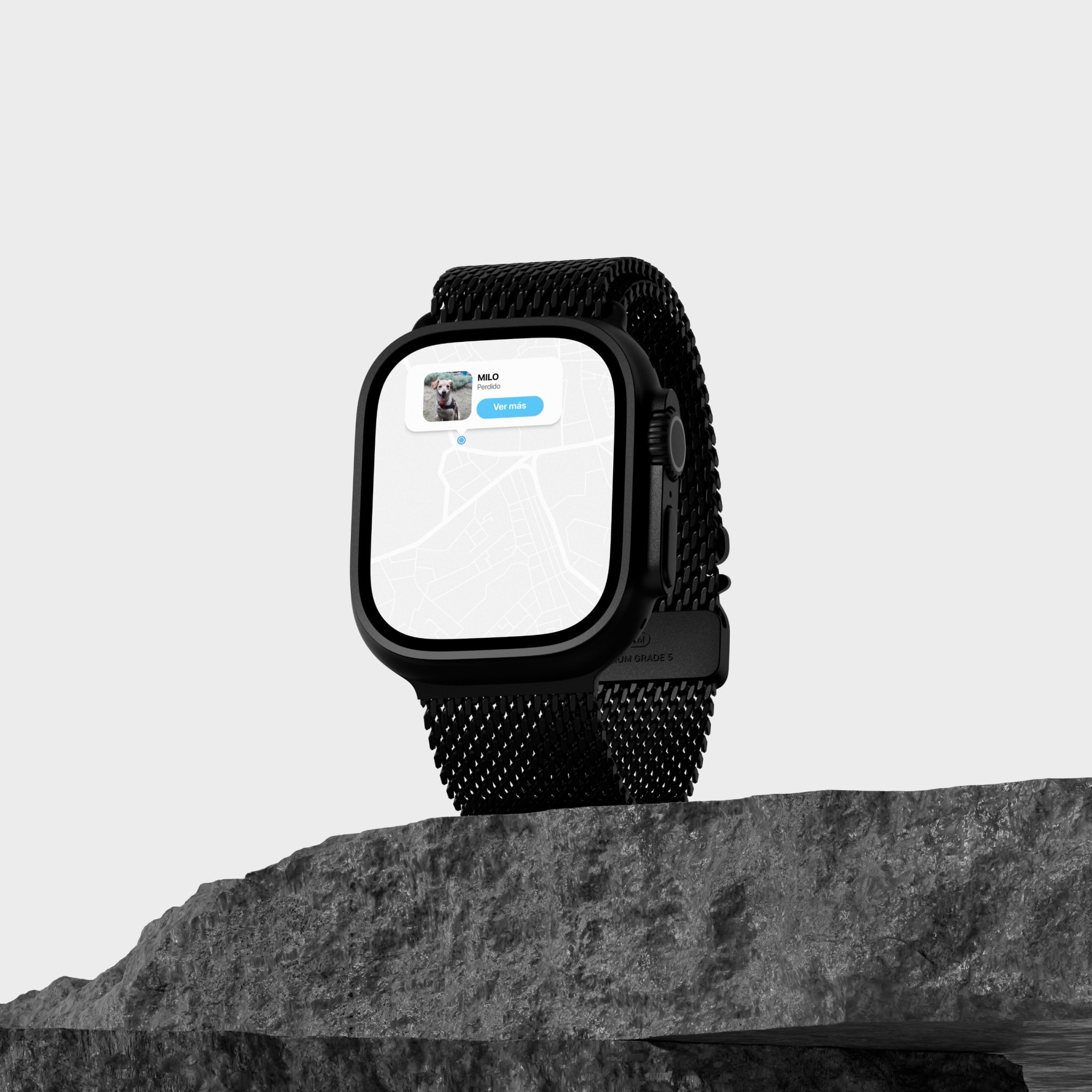 The app on a watch, on a stone