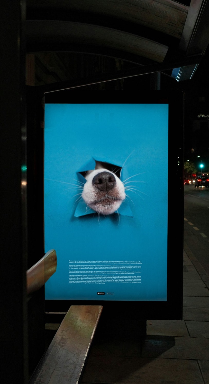 A Patitas poster lit up at a bus stop at night