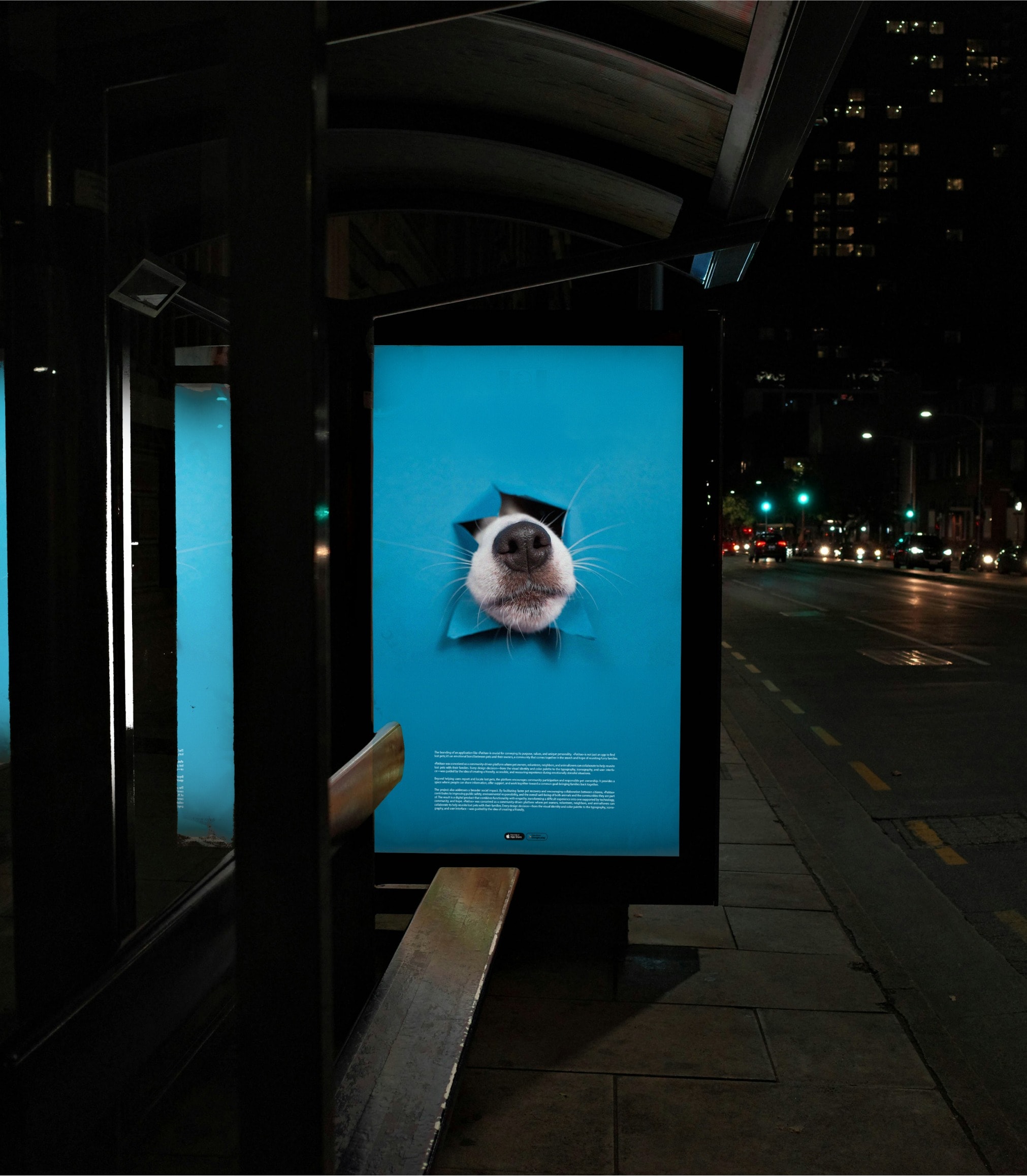 A Patitas ad on a street display at night