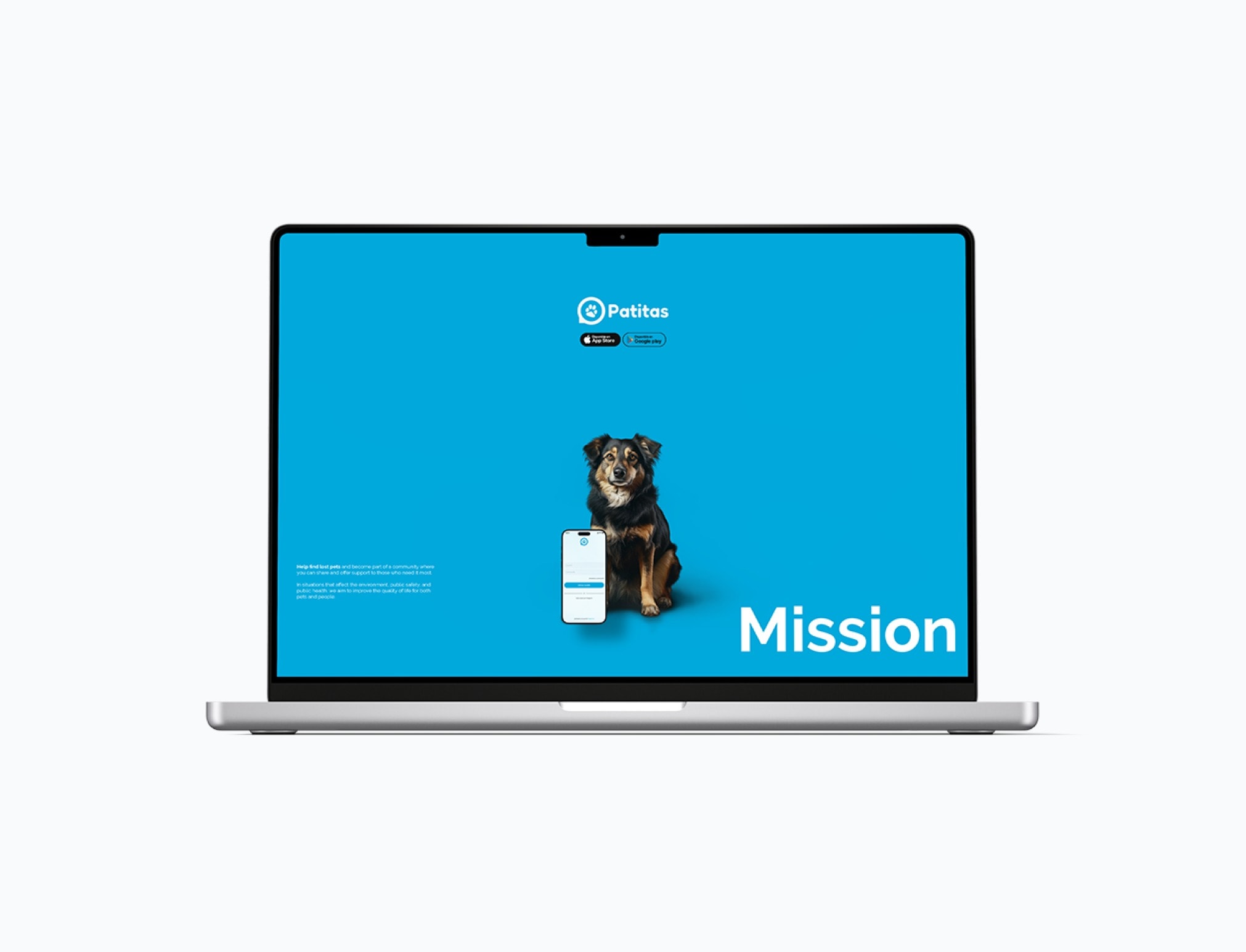 The Patitas website open on a laptop