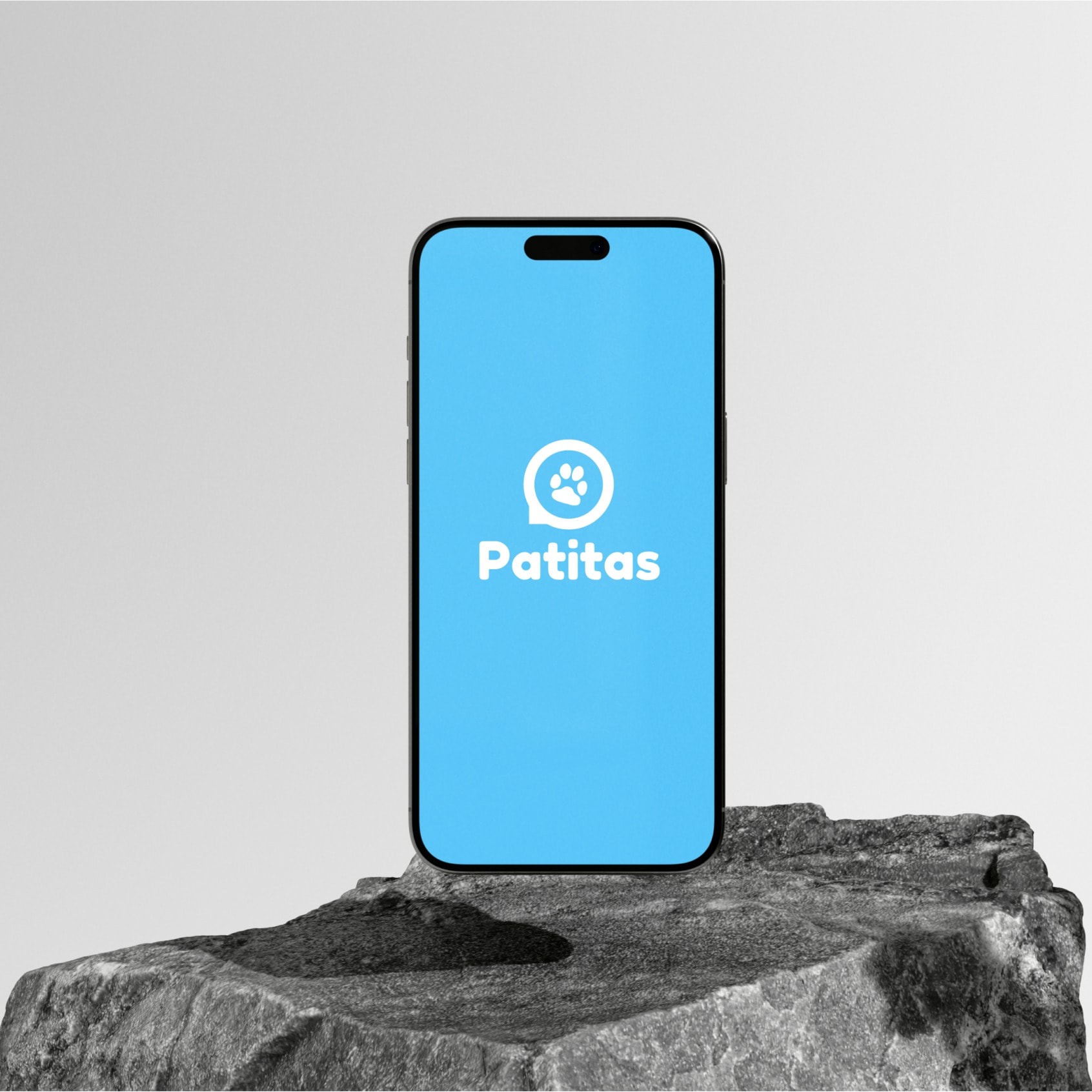 A phone with the Patitas splash screen, standing on a stone