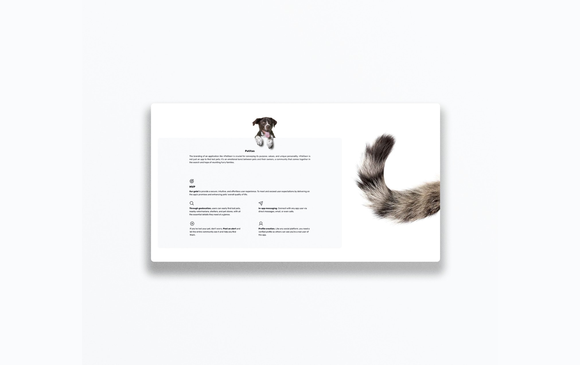 A presentation sheet of the website